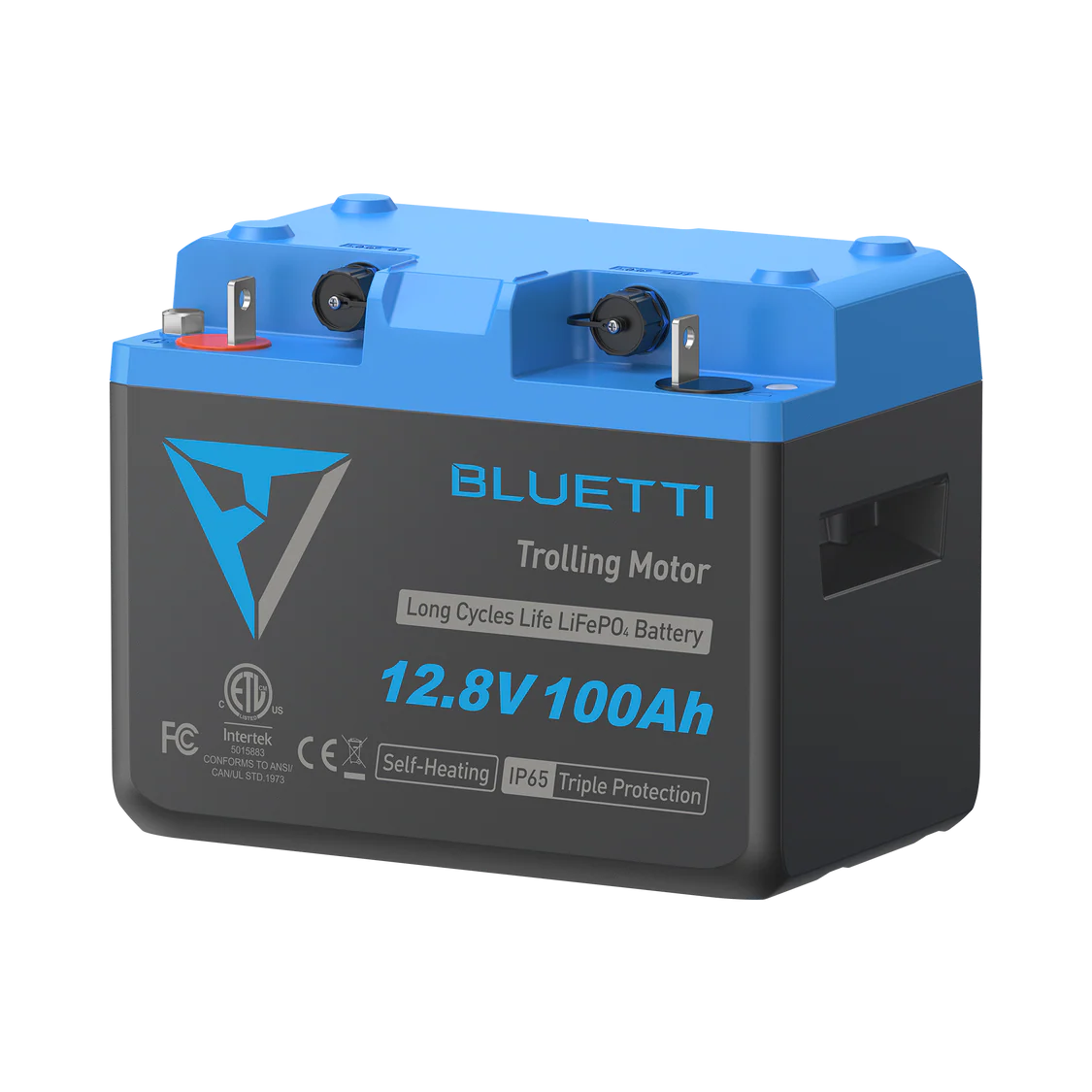 BLUETTI B1210